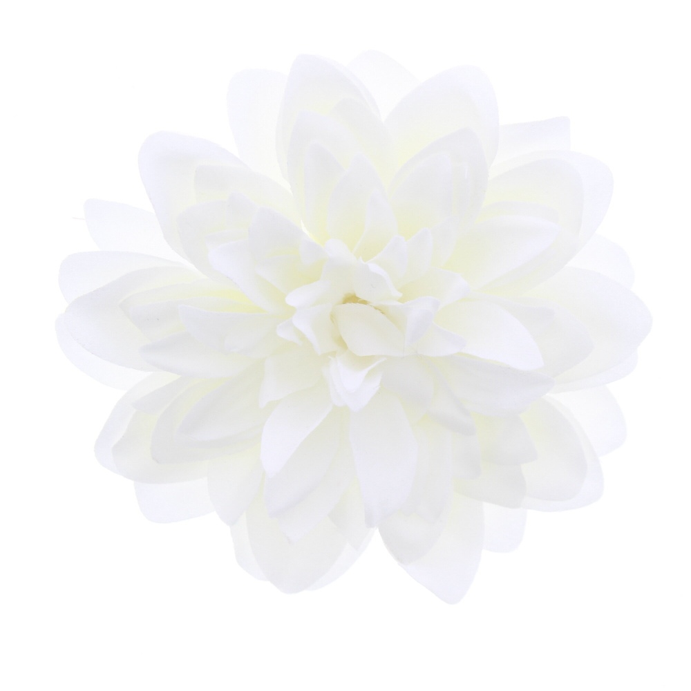 Zac's Alter Ego - Large chrysanthemum Haarbloem - Wit